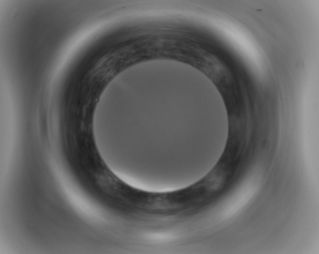 X0000115140526200911241508