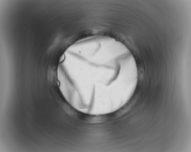 X0000115140527200911241508