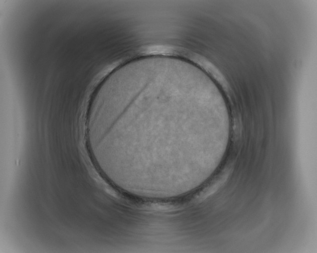 X0000115140529200911241507