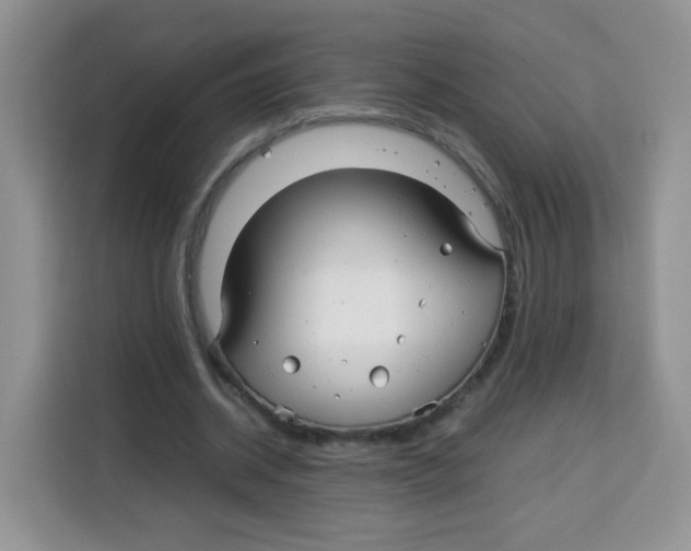 X0000115140534200911241507