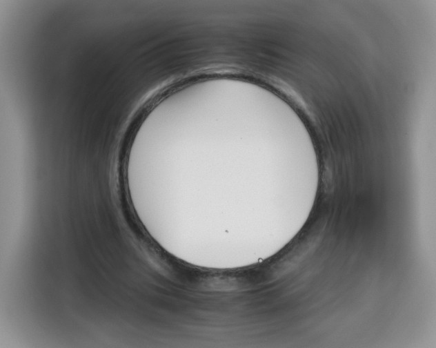 X0000115140535200911241508