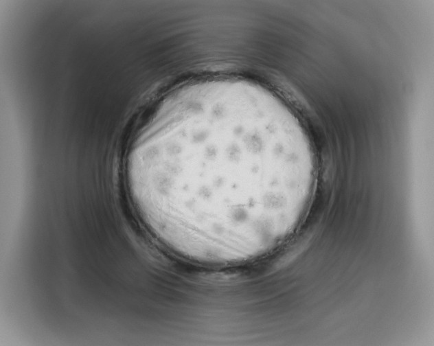 X0000115140542200911241508