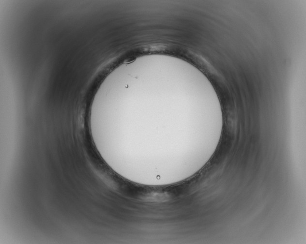 X0000115140543200911241508