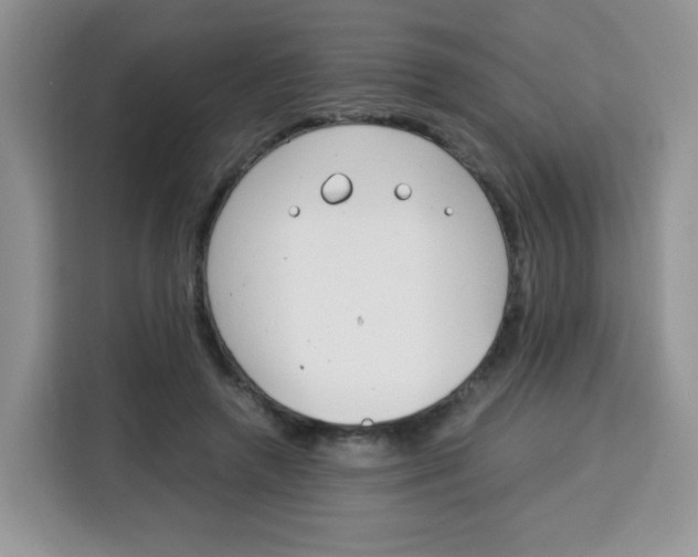 X0000115140546200911241508