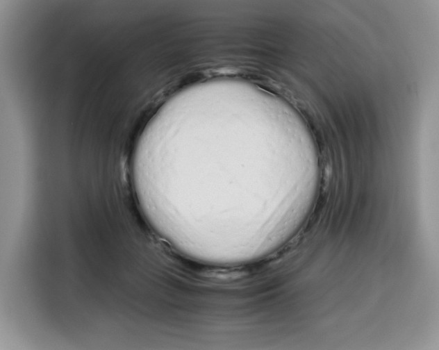 X0000115140555200911241508