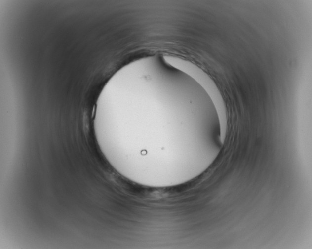 X0000115140562200911241508