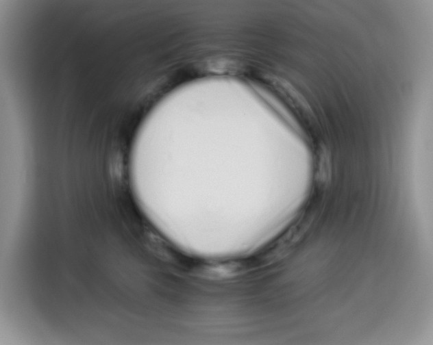 X0000115140569200911241508