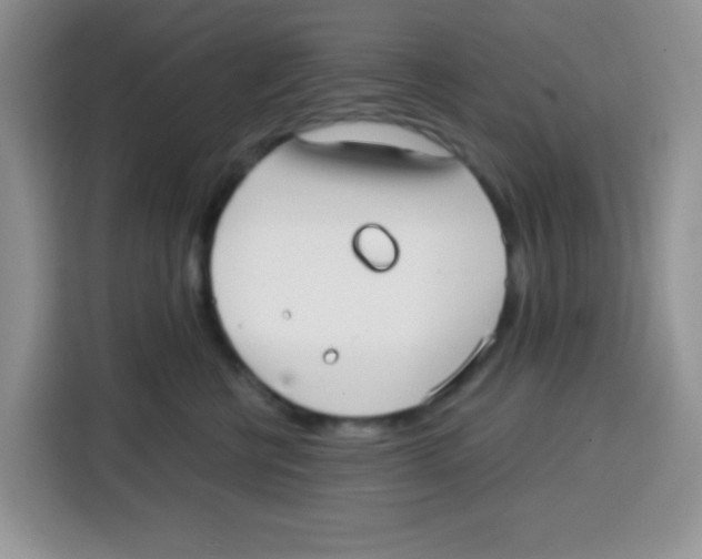 X0000115140570200911241508