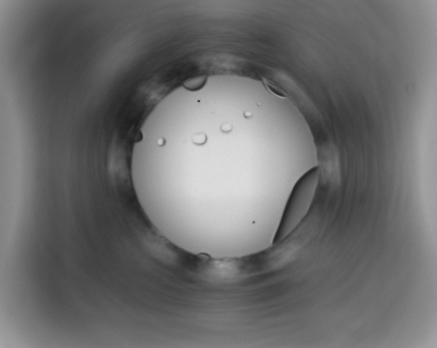 X0000115140573200911241508