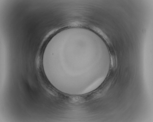 X0000115140579200911241507