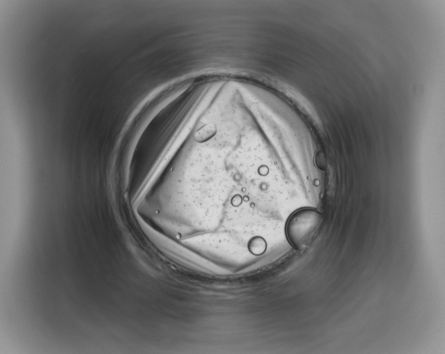X0000115140580200911241507
