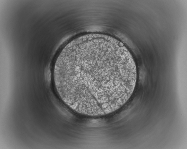 X0000115140584200911241507