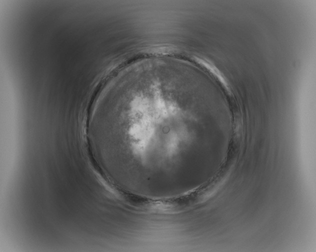 X0000115140585200911241507