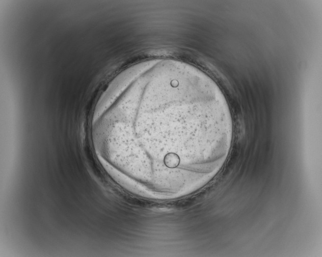 X0000115140586200911241507