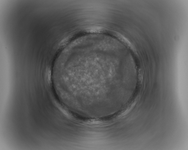 X0000115140589200911241507