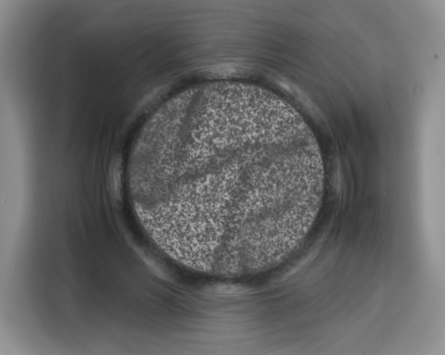 X0000115140590200911241507