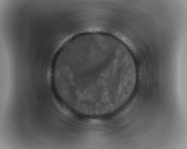 X0000115140592200911241507