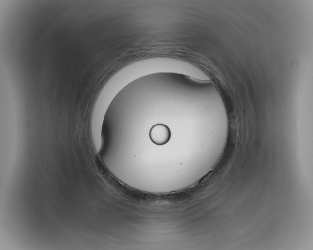 X0000115140593200911241507