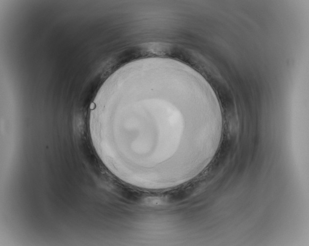 X0000115140595200911241507