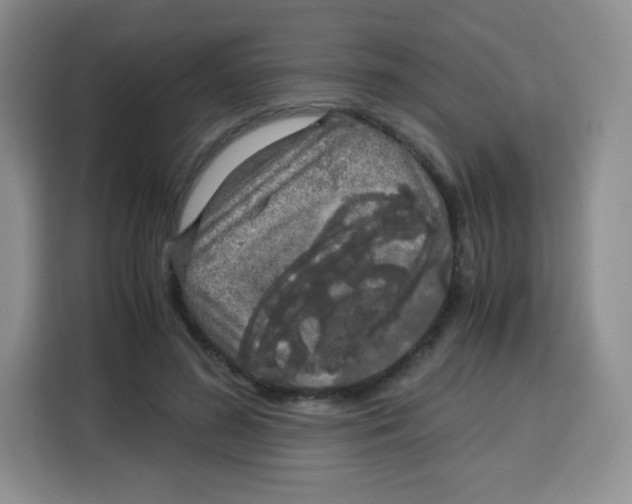 X0000115140596200911241507