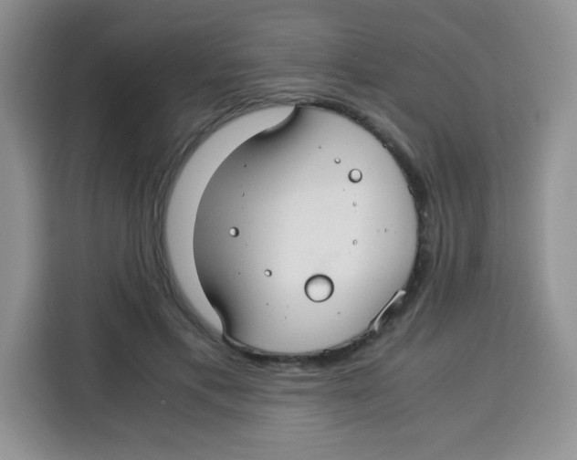 X0000115140597200911241507