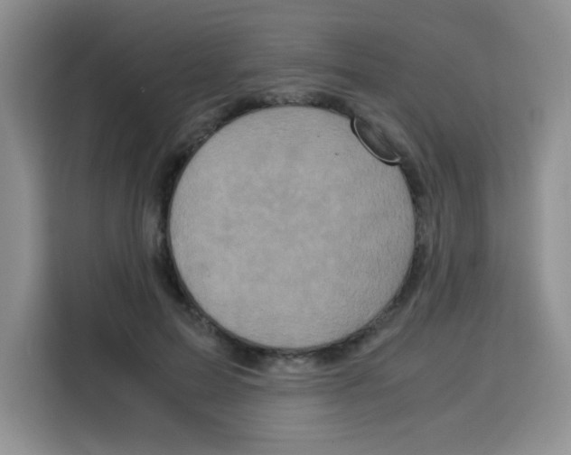 X0000115140599200911241507