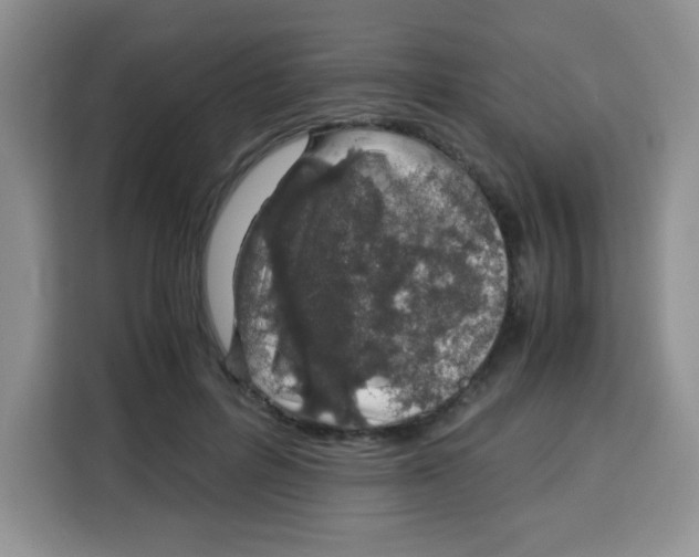 X0000115140600200911241507
