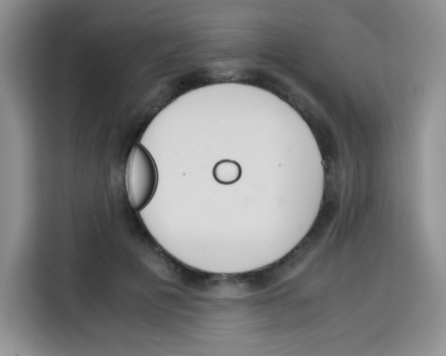 X0000115140601200911241507
