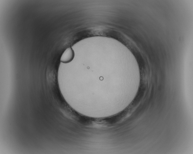 X0000115140603200911241507