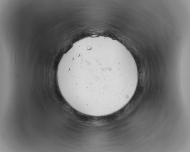 X0000115140608200911241507