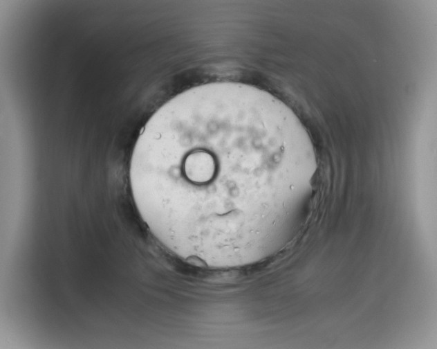X0000115140609200911241507