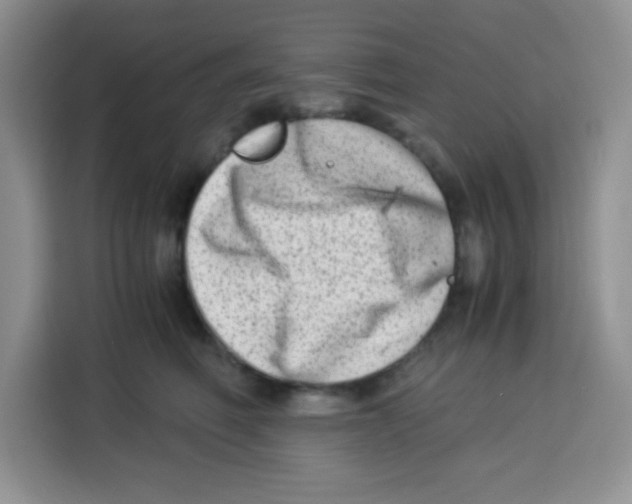 X0000115140614200911241507