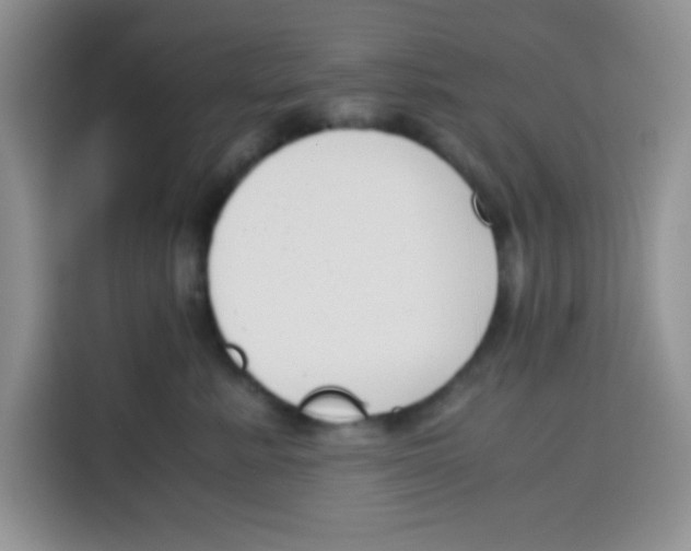 X0000115140619200911241507