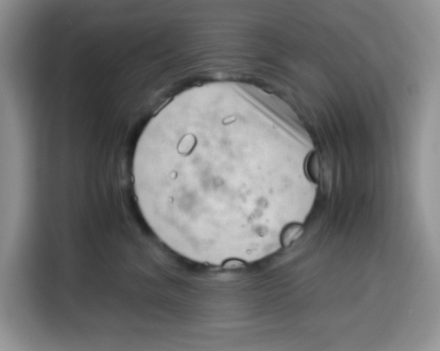 X0000115140620200911241507