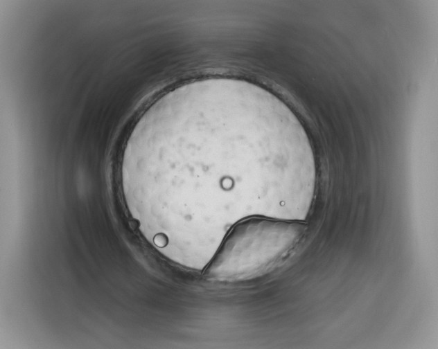 X0000115140626200911241506