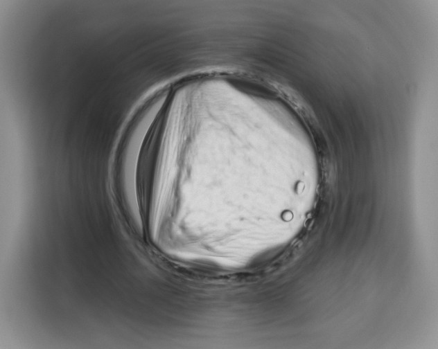 X0000115140628200911241506