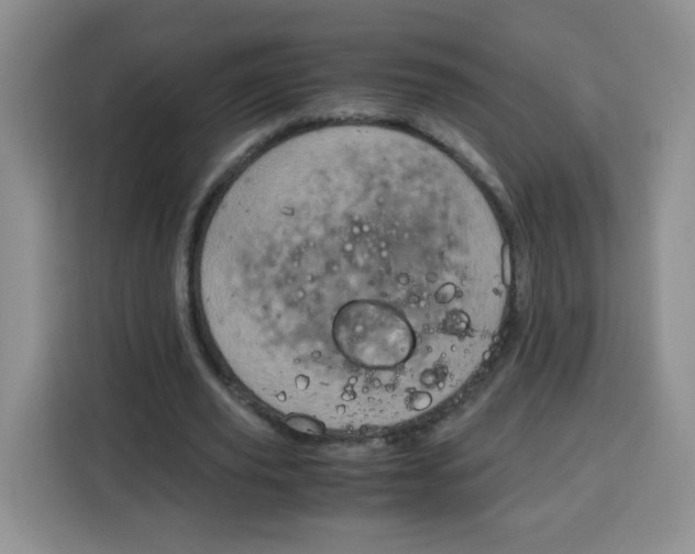 X0000115140629200911241506