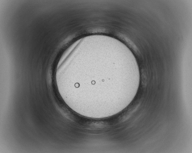 X0000115140631200911241506
