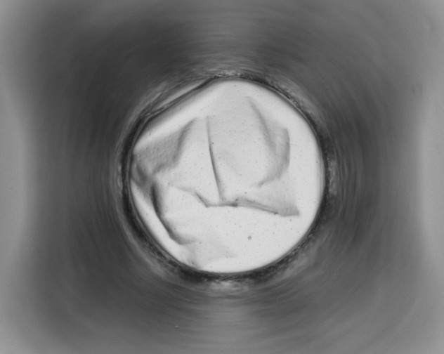 X0000115140634200911241506