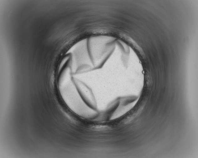 X0000115140637200911241506