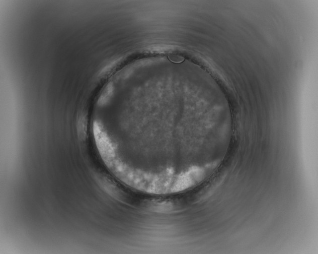 X0000115140640200911241506