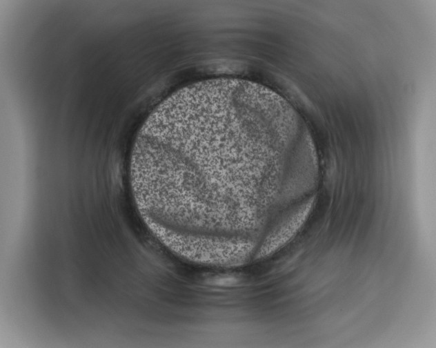 X0000115140643200911241506