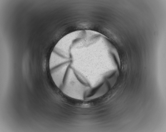 X0000115140647200911241506
