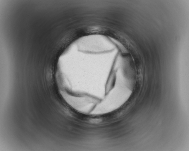X0000115140653200911241507