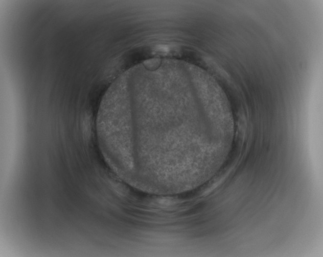 X0000115140659200911241507