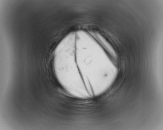 X0000115140661200911241507