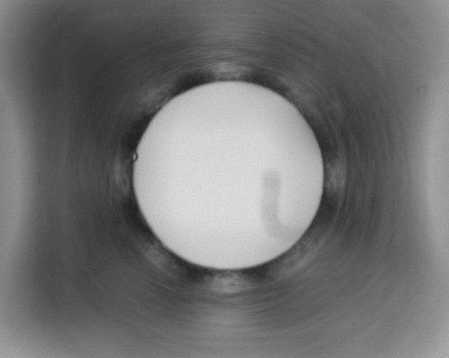 X0000115140666200911241507