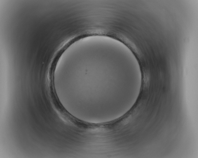X0000115140674200911241506