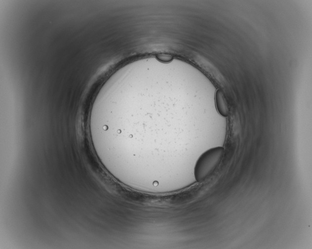 X0000115140680200911241506