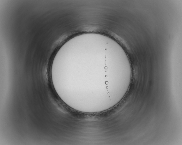 X0000115140682200911241506